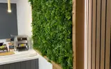 Office fit out kitchen reception green plant wall feature