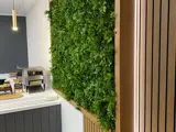 Office fit out kitchen reception green plant wall feature