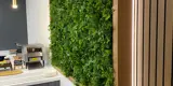 Office fit out kitchen reception green plant wall feature